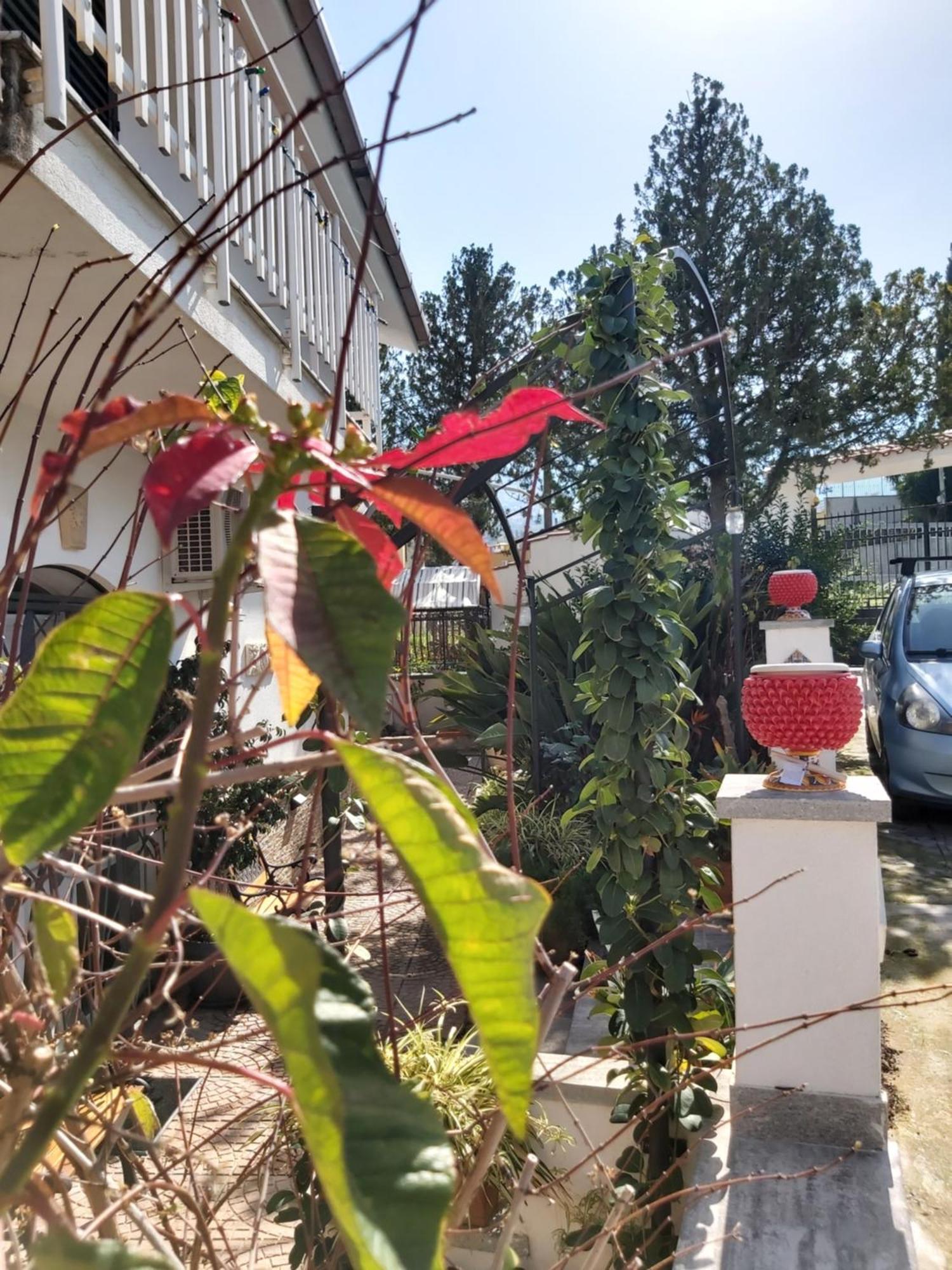 Villa La perla della Conca d'Oro Palermo Esterno foto